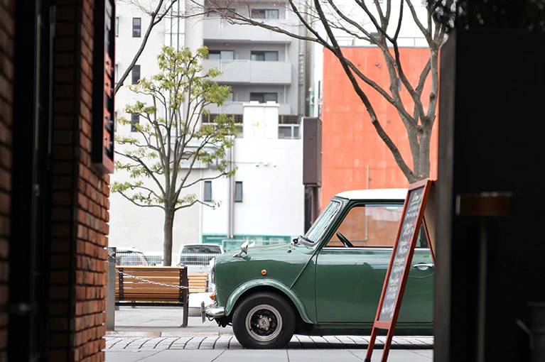 rover mini 1000 MT
