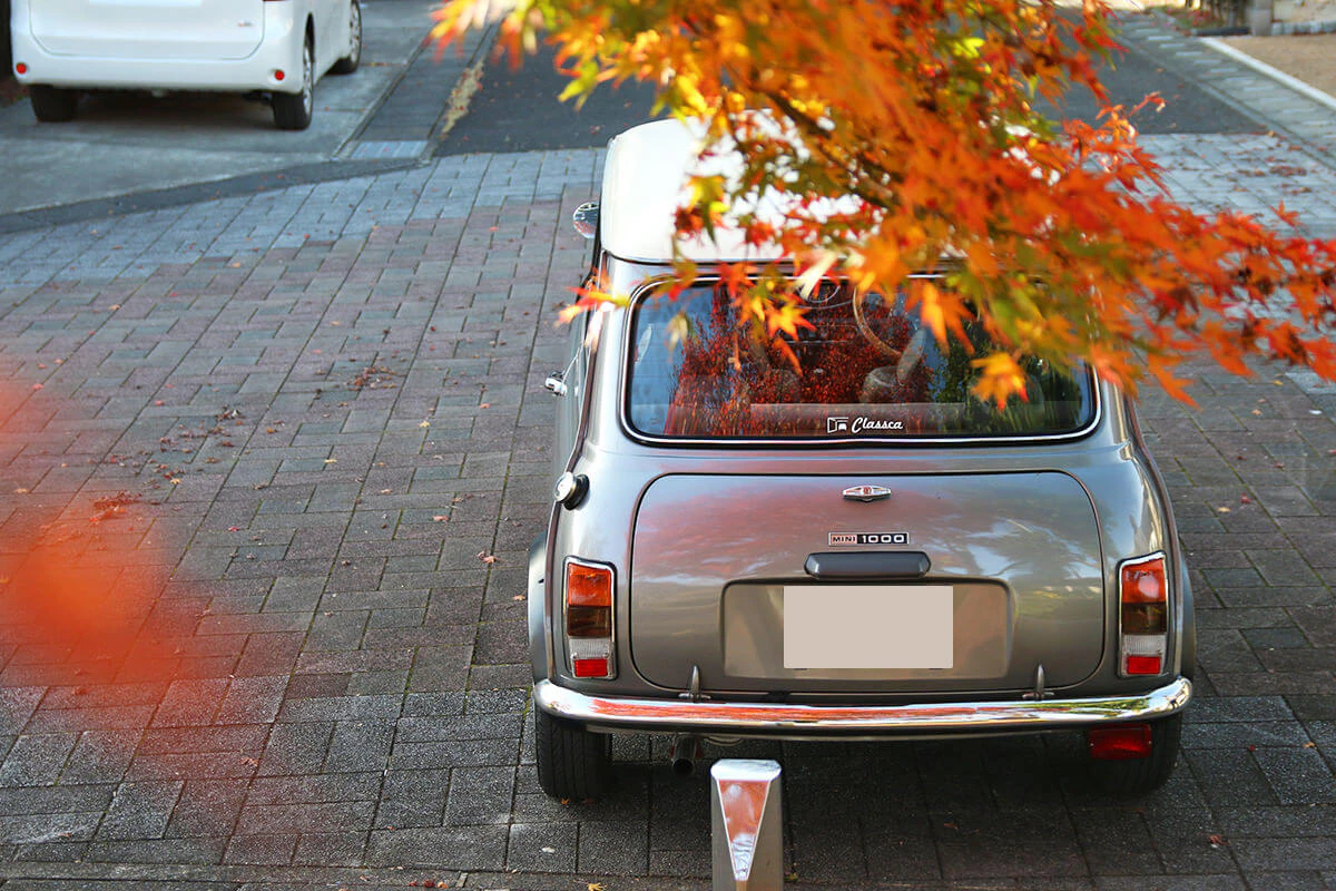 rover mini 1000 sprite