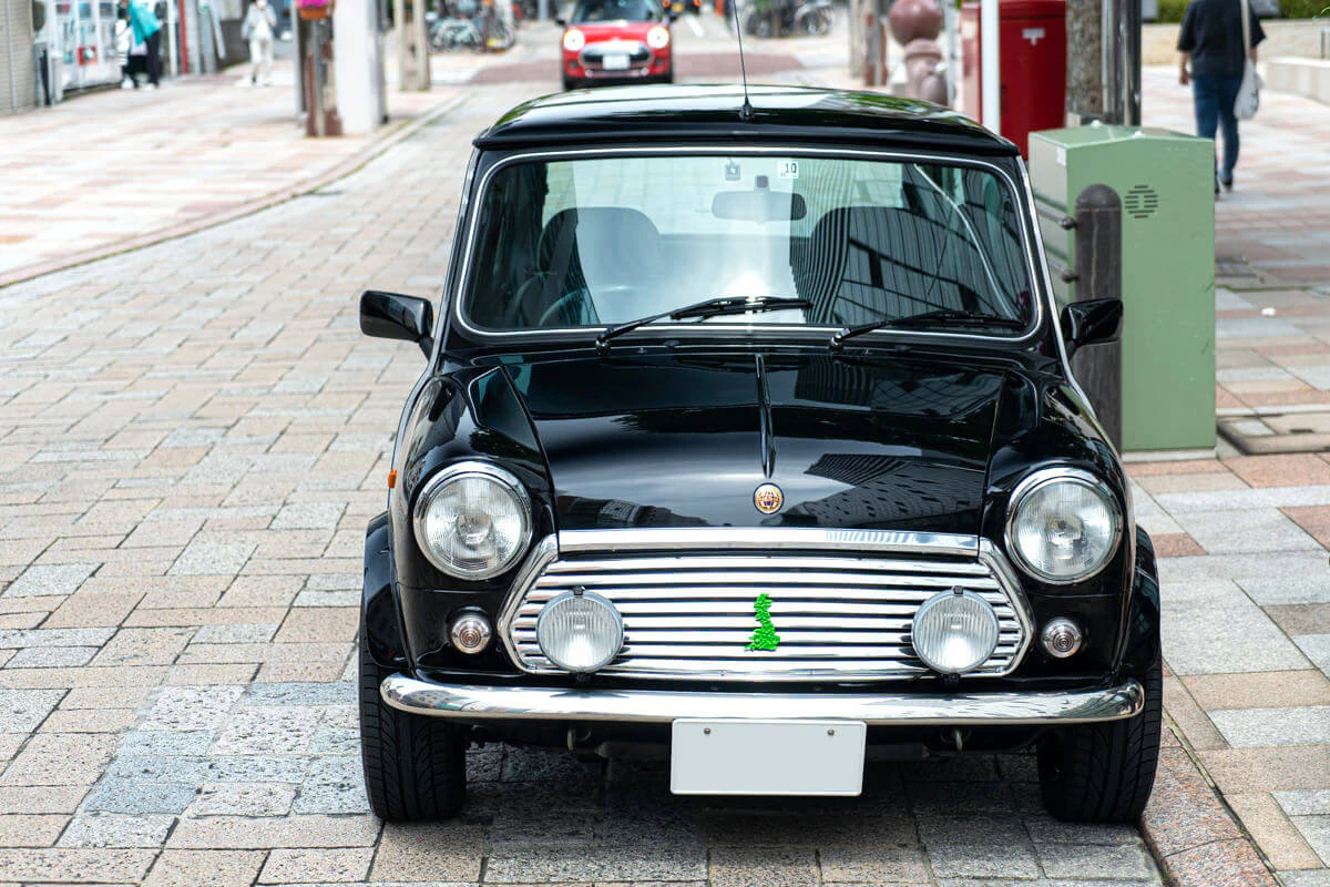rover mini paul smith