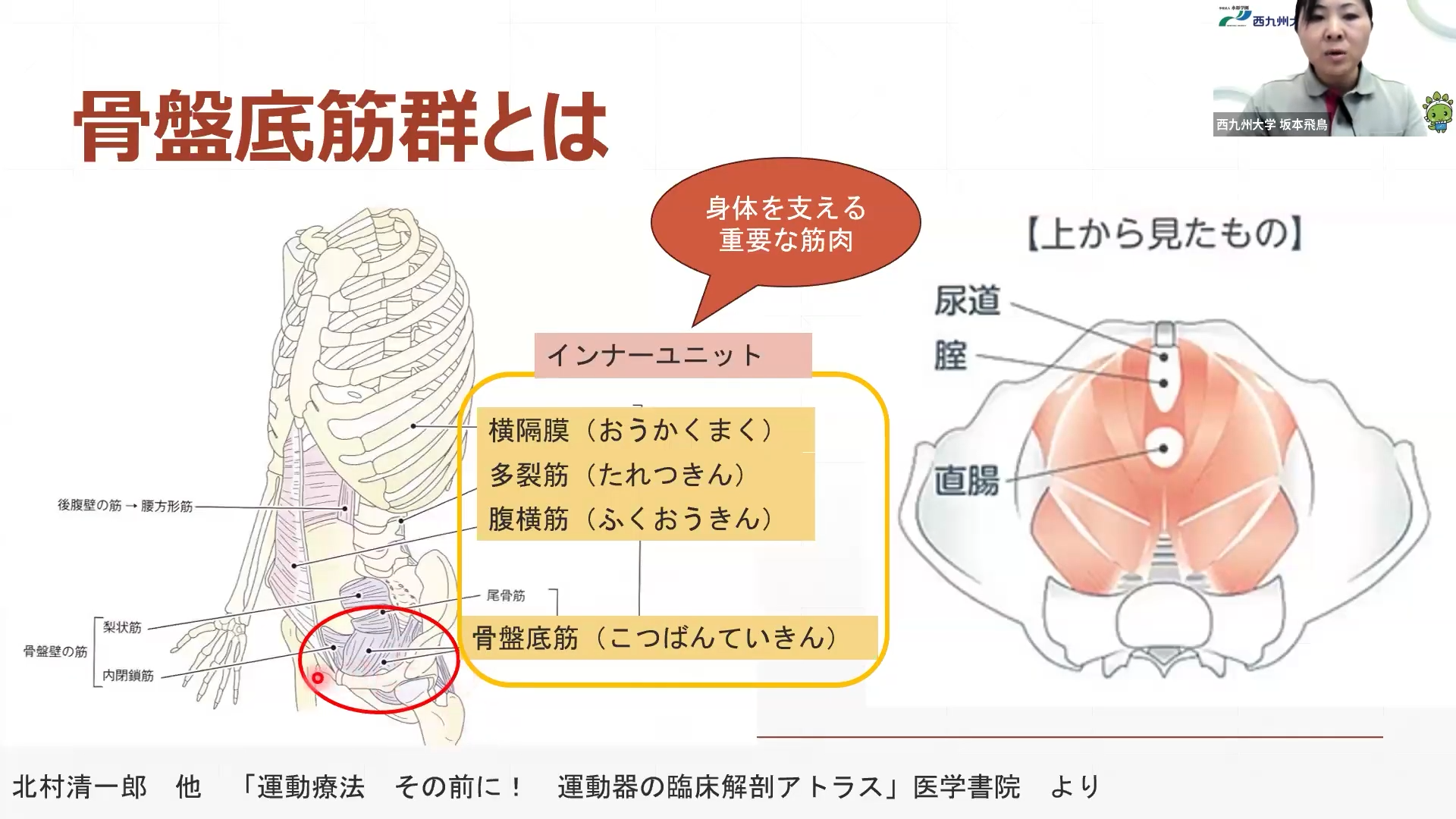 image(10)(1).png