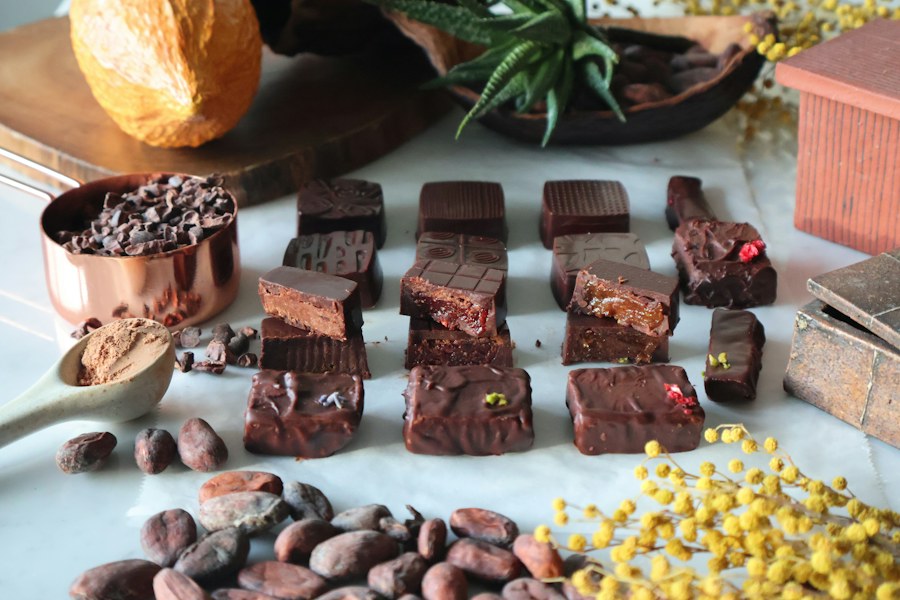 RAW CHOCOLATE（ローチョコレートマイスター講座）