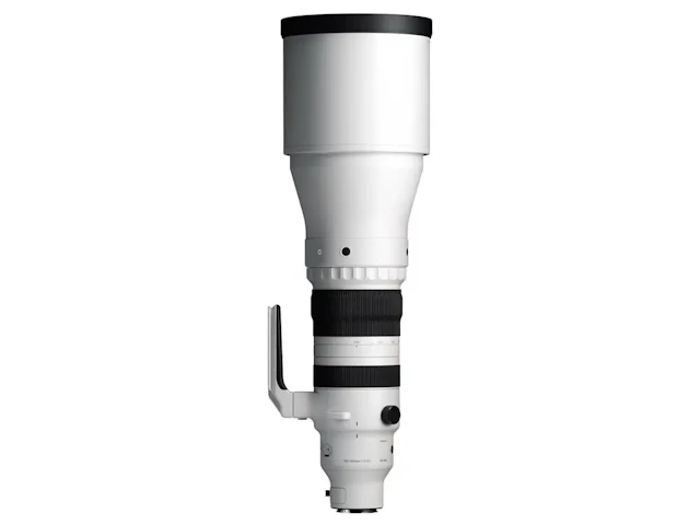 300-600mm F4 DG OS ライカL用