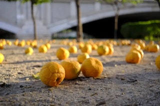 用途別の選び方：旅行・街スナップ・動画でどちらが合う？