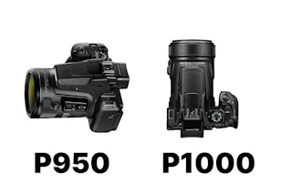 Nikon COOLPIX P950とCOOLPIX P1000を用途別に比較|野鳥・月・旅行・動画で選ぶ