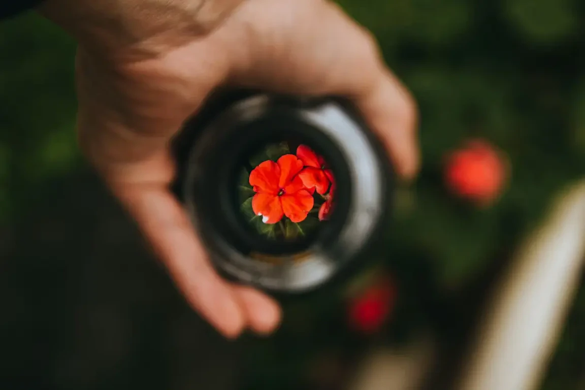 Canon EOS R10におすすめのレンズ8選 レンズキットはどっちがいい？