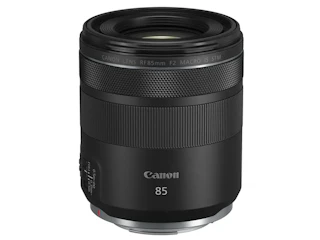 Canon RF 85mm F2 マクロ IS STM