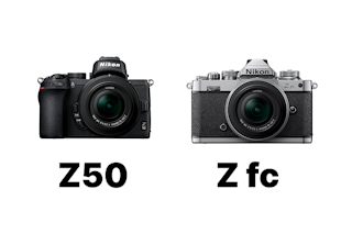 Nikon Z50とNikon Z fcはどちらを選ぶべきか｜結論と選び分けの軸を先に決める
