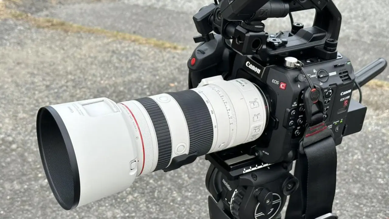 Canon RF 100-500mm F4.5-7.1 L IS USMの新品/中古の在庫一覧 
