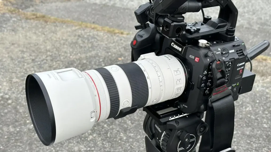 Canon RF 70-200mm F2.8 L IS USM Zのレビュー比較まとめ 写真も動画も本気派に最適