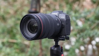 用途別に選ぶSony α7C IIとCanon EOS R8