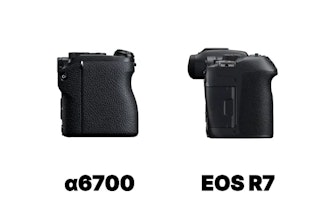 静止画画質の比較:高画素のEOS R7か、裏面照射のα6700か