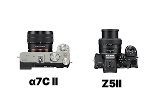 主要スペック比較：数字で分かるα7C IIとZ5IIの差