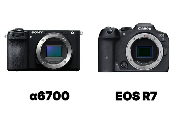 【2026年版】Sony α6700とCanon EOS R7を徹底比較!静止画・動画・レンズ運用で後悔しない選び方