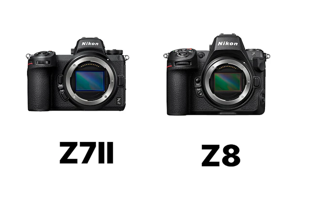 【2026年版】Nikon Z7IIとZ8の比較まとめ!画質は近いのに撮れる被写体が変わる理由