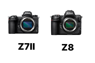 【2026年版】Nikon Z 7IIとZ 8の比較まとめ!画質は近いのに撮れる被写体が変わる理由