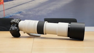 【2026年版】Canon RF200-800mm F6.3-9 IS USM レビュー 超望遠が身近になる1本
