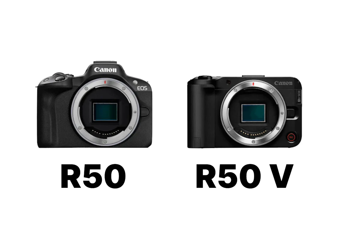 Canon EOS R50とEOS R50 Vを徹底比較!写真重視ならR50、動画重視ならR50 V