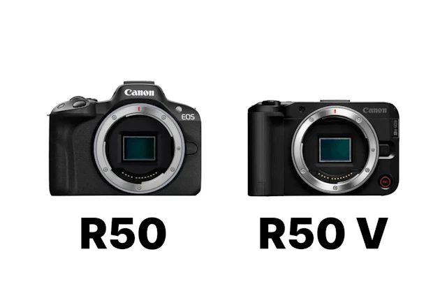 Canon EOS R50とEOS R50 Vを徹底比較!写真重視ならR50、動画重視ならR50 V