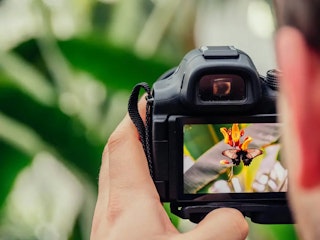 カメラ側でのジャギー対策:画素数、AAフィルター、絞り、動画読み出し