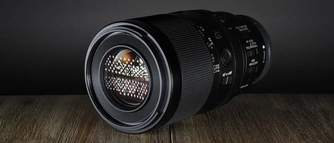 【2026年版】SONY FE 100mm F2.8 Macro GM OSSのレビュー比較まとめ|高倍率マクロと動画性能を解説