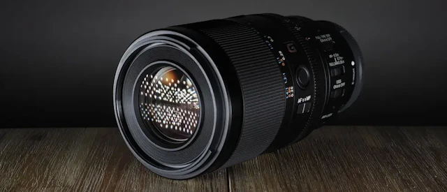 【2026年版】SONY FE 100mm F2.8 Macro GM OSSのレビュー比較まとめ|高倍率マクロと動画性能を解説