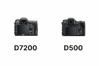 Nikon D7200とNikon D500の主要スペック比較