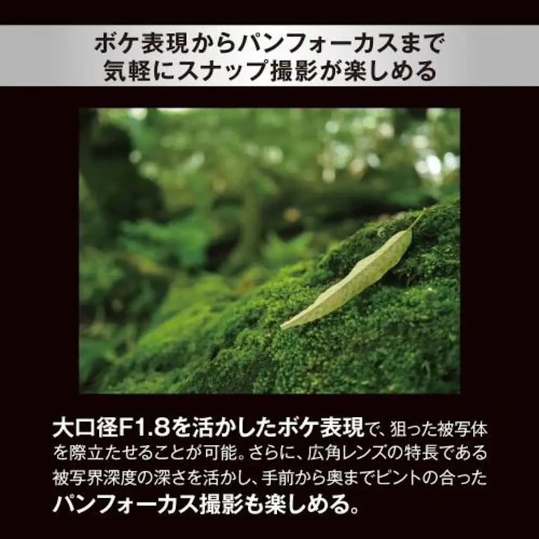 M.ZUIKO DIGITAL 17mm F1.8 IIの新品/中古の在庫一覧 3枚目