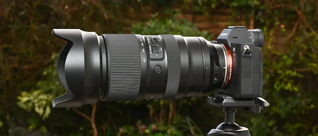 Tamron 50-400mm F/4.5-6.3 Di III VC VXDのレビュー比較まとめ 一本で旅と野鳥を撮りたい人におすすめ