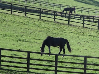 Canon powershot zoomの画質評価（静止画）