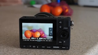 SIGMA(シグマ) fp Lの電子シャッターと連写の実用性レビュー