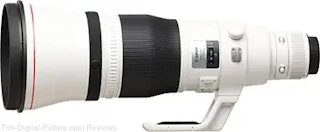 EF 600mm F4L IS III USMのボケ味・収差・逆光耐性