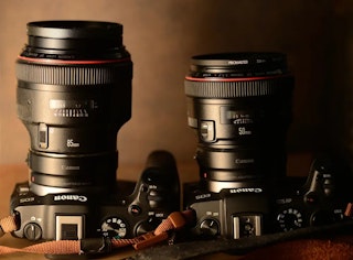 Canon EF 50mm F1.2L USMのAF性能とピントの合わせやすさ
