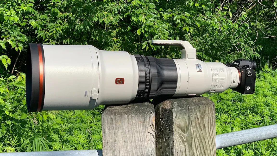 【2026年版】Sony FE 600mm F4 GM OSS(SEL600F40GM)のレビュー比較：野鳥・スポーツ撮影に向く超望遠単焦点