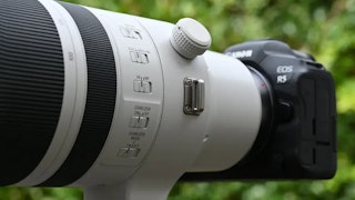 Canon RF100-300mm F2.8 L IS USMのエクステンダー運用と動画撮影