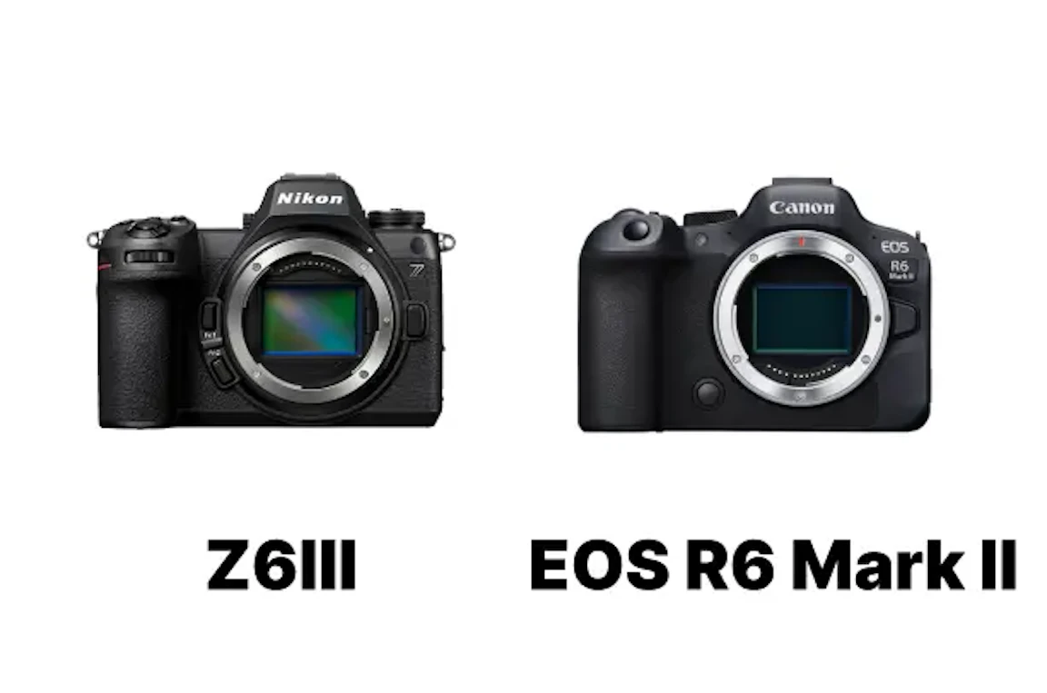 【2026年版】Nikon Z6IIIとCanon EOS R6 Mark IIを徹底比較！静止画・AF・動画・携帯性で選ぶ