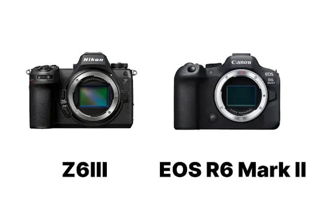 【2026年版】Nikon Z6IIIとCanon EOS R6 Mark IIを徹底比較!静止画・AF・動画・携帯性で選ぶ