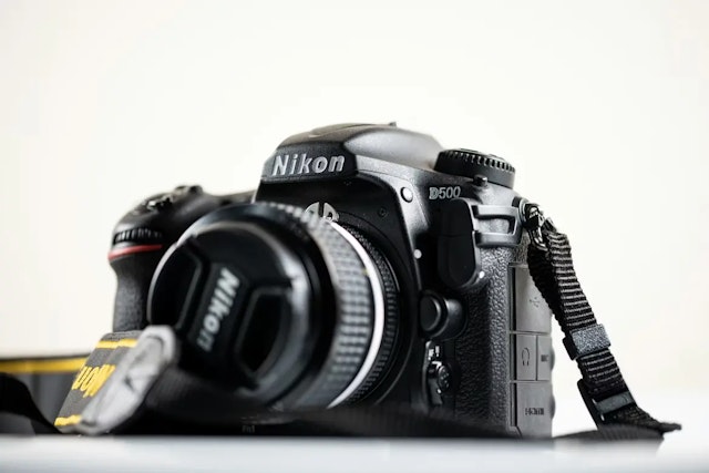 【2026年版】Nikon D500のレビュー比較まとめ 野鳥・スポーツ撮影に最適
