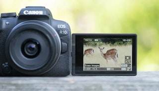 Canon EOS R10とEOS R50の動画性能を比較|4K/60p・クロップ・手ブレ補正の違い