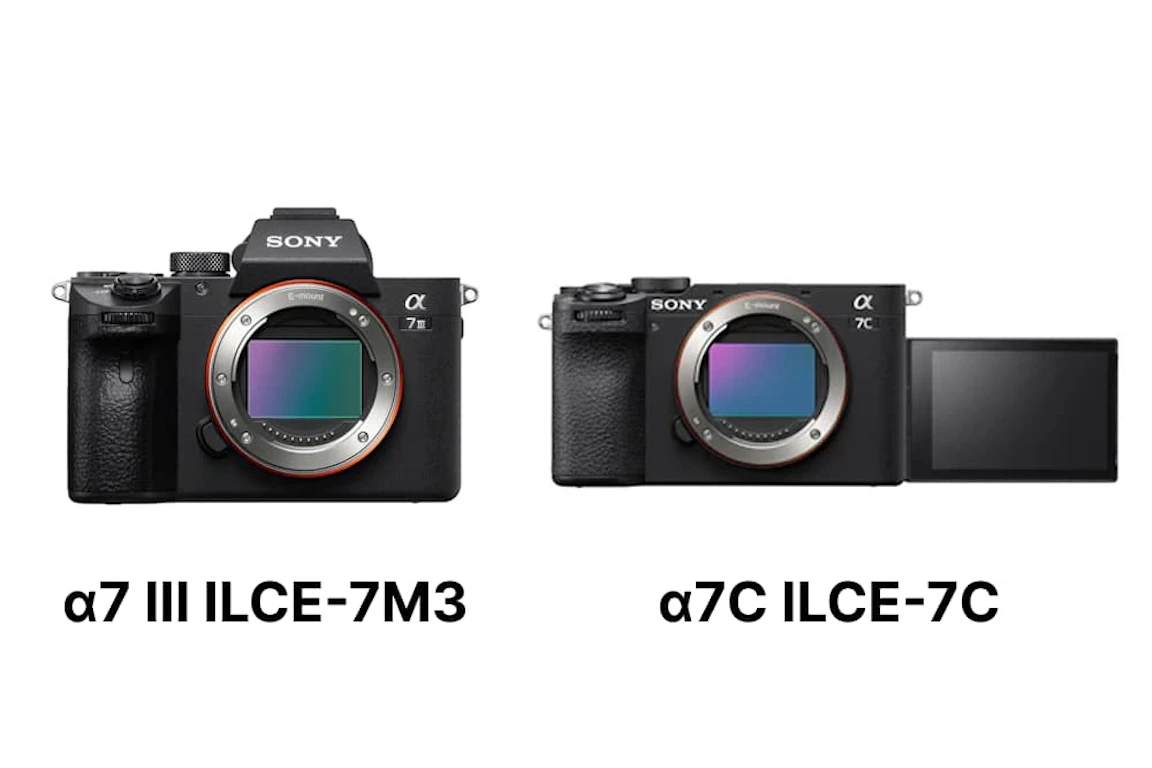 【2026年版】α7IIIとα7Cを徹底比較！選び方はファインダー・操作・動画運用で決まる