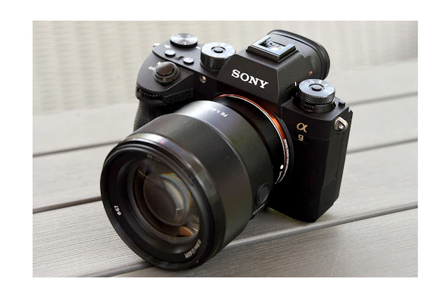 【2026年版】SONY α9 ILCE-9レビュー比較まとめ 20コマ/秒連写・AF・画質・動画性能を詳しく解説