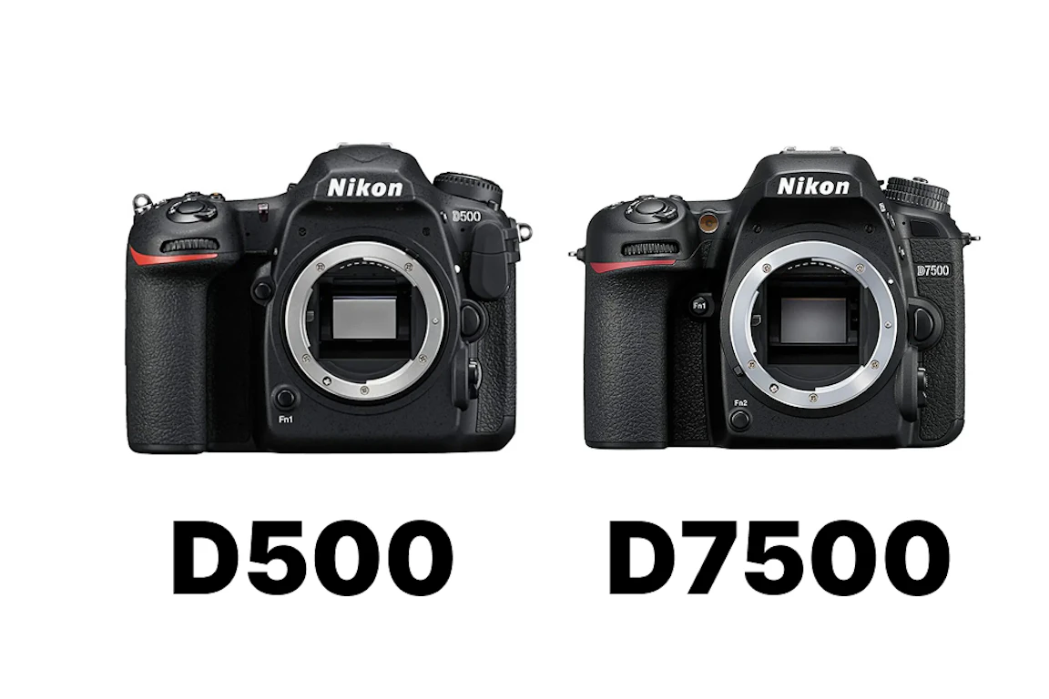 Nikon D500とD7500を比較まとめ｜AF・連写・重さ・記録メディアの違いで選ぶ