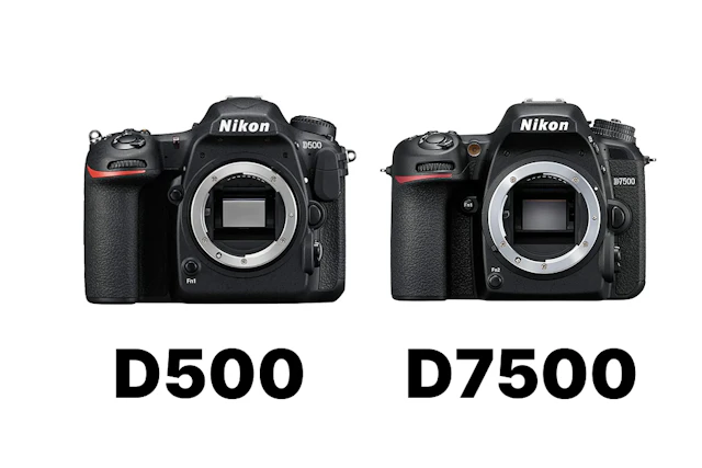 Nikon D500とD7500を比較まとめ|AF・連写・重さ・記録メディアの違いで選ぶ