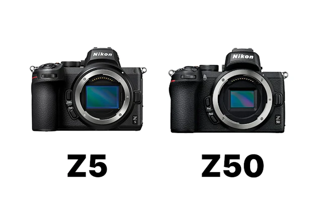 Nikon Z 5とZ 50の比較まとめ 画質・連写・動画・携帯性の違いとおすすめを解説