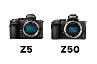Nikon Z 5とZ 50の比較まとめ 画質・連写・動画・携帯性の違いとおすすめを解説