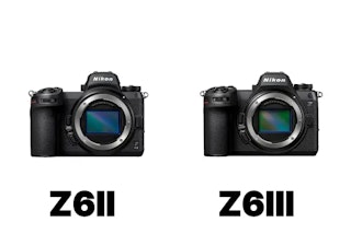 AF・被写体検出の比較：暗所と動体でZ6 IIIが優位