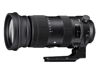 シグマ 60-600mm F4.5-6.3 DG OS HSM ニコン用