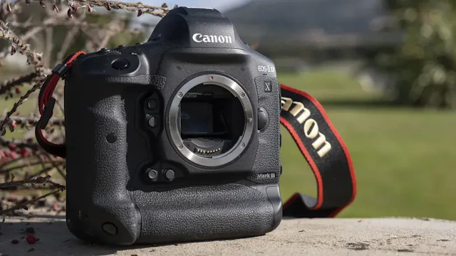 EOS-1D X Mark IIIのレビュー比較まとめ AF・連写・画質・動画性能を詳しく解説