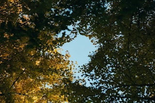 露出で階調を守る：ハイライトや影の整え方