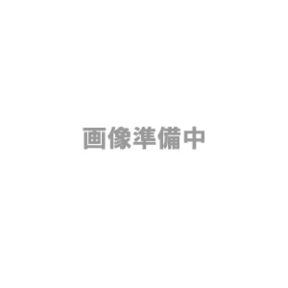 Zenmuse X5S