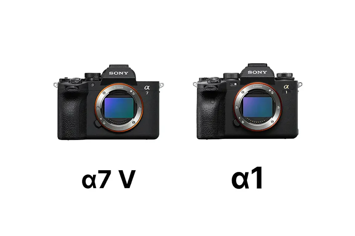 Sony α7 V(ILCE-7M5)とα1(ILCE-1)を比較|画質・AF・動画・価格の違いと選び方